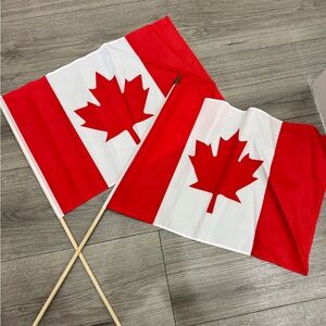 Canadian Flag with Red Maple Leaf